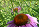 Avatar utilizator