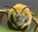 Avatar utilizator