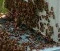 Avatar utilizator