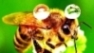Avatar utilizator