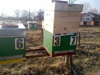 19032012315.jpg
