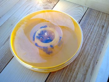 20032012322.jpg