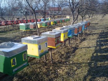 19032012320.jpg