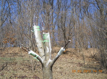 rsz_1dscn2648.jpg