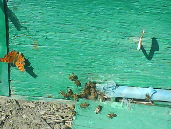 DSC04405.JPG