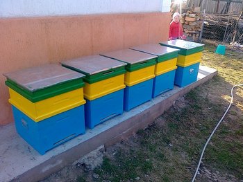 21032012216.jpg
