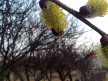 22032012327.jpg