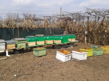 2012-03-24 12.08.14.jpg