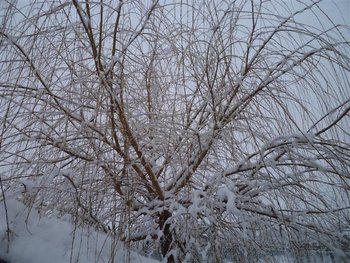 DSC00773 (Small).JPG