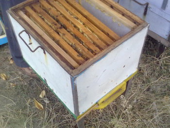 26082011244.jpg