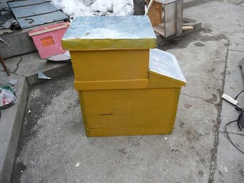 030.JPG