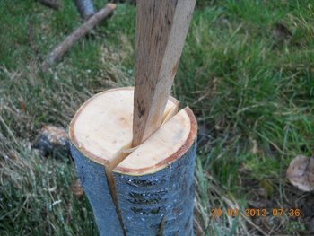 DSCN2700 (Medium).JPG