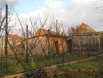 DSCN2708 (Medium) (Small).JPG