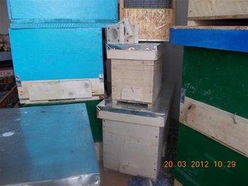 Picture 079 (Small).jpg