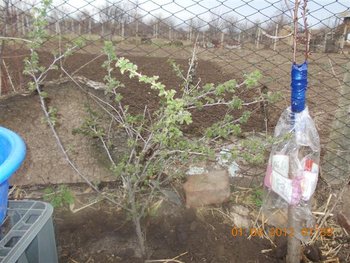 Picture 072 (Small).jpg