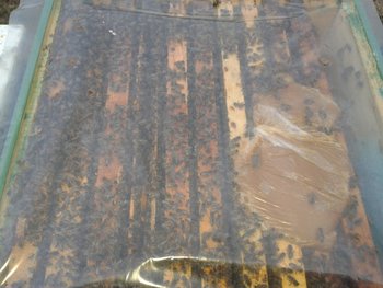 2012-04-04 19.08.26.jpg