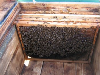 stup martie 038 (Copy).jpg
