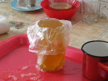 hranire de stimulare 026.jpg