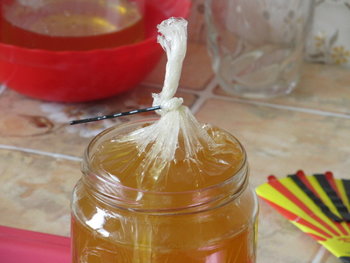 hranire de stimulare 029.jpg