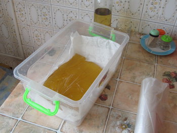 hranire de stimulare 038.jpg