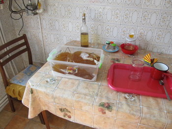 hranire de stimulare 041.jpg