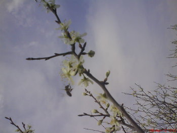 DSC04619.JPG