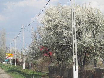 alt aprilie 098.jpg