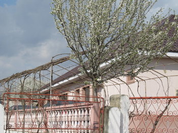 alt aprilie 097.jpg