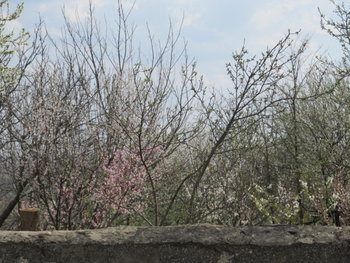 alt aprilie 096.jpg