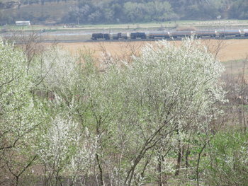 alt aprilie 094.jpg