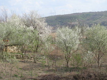 alt aprilie 092.jpg