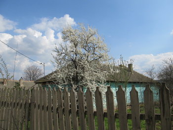 alt aprilie 082.jpg