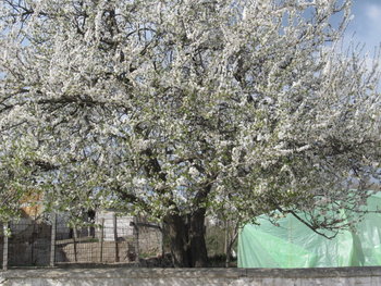alt aprilie 086.jpg