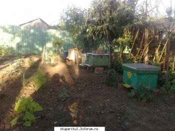 ok_110321.jpg