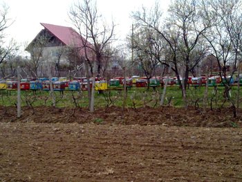 10042012340.jpg