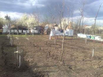 07042012850.jpg