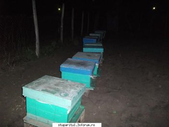 ok_161207.jpg