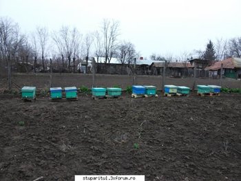 ok_161209.jpg