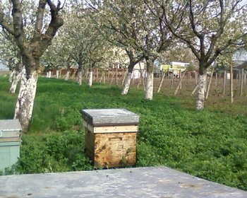 Fotografii-0014.jpg