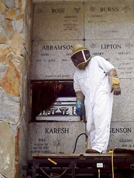 bees in mausoleum.jpg