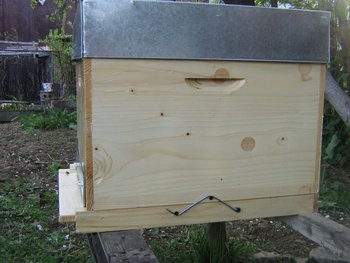 apitek 002 (Copy).jpg