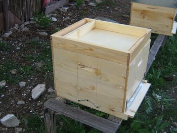 apitek 004 (Copy).jpg