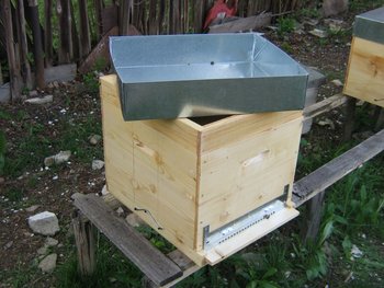 apitek 007 (Copy).jpg