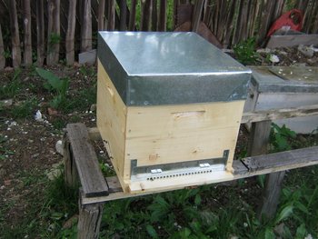 apitek 008 (Copy).jpg