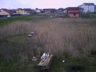 Amplasare stupi.jpg