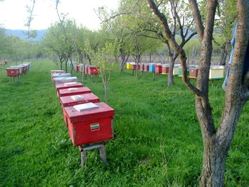 26042012367.jpg