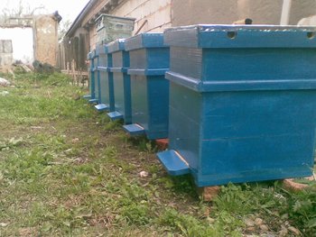 21042012.jpg
