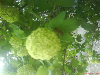 DSC04827.JPG