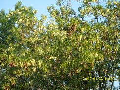 IMG_0107.JPG