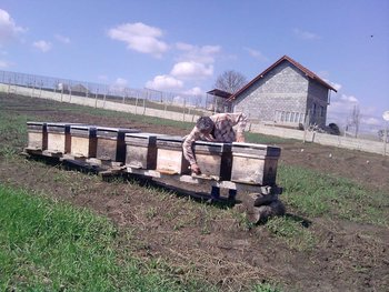 P260412_14.55.jpg